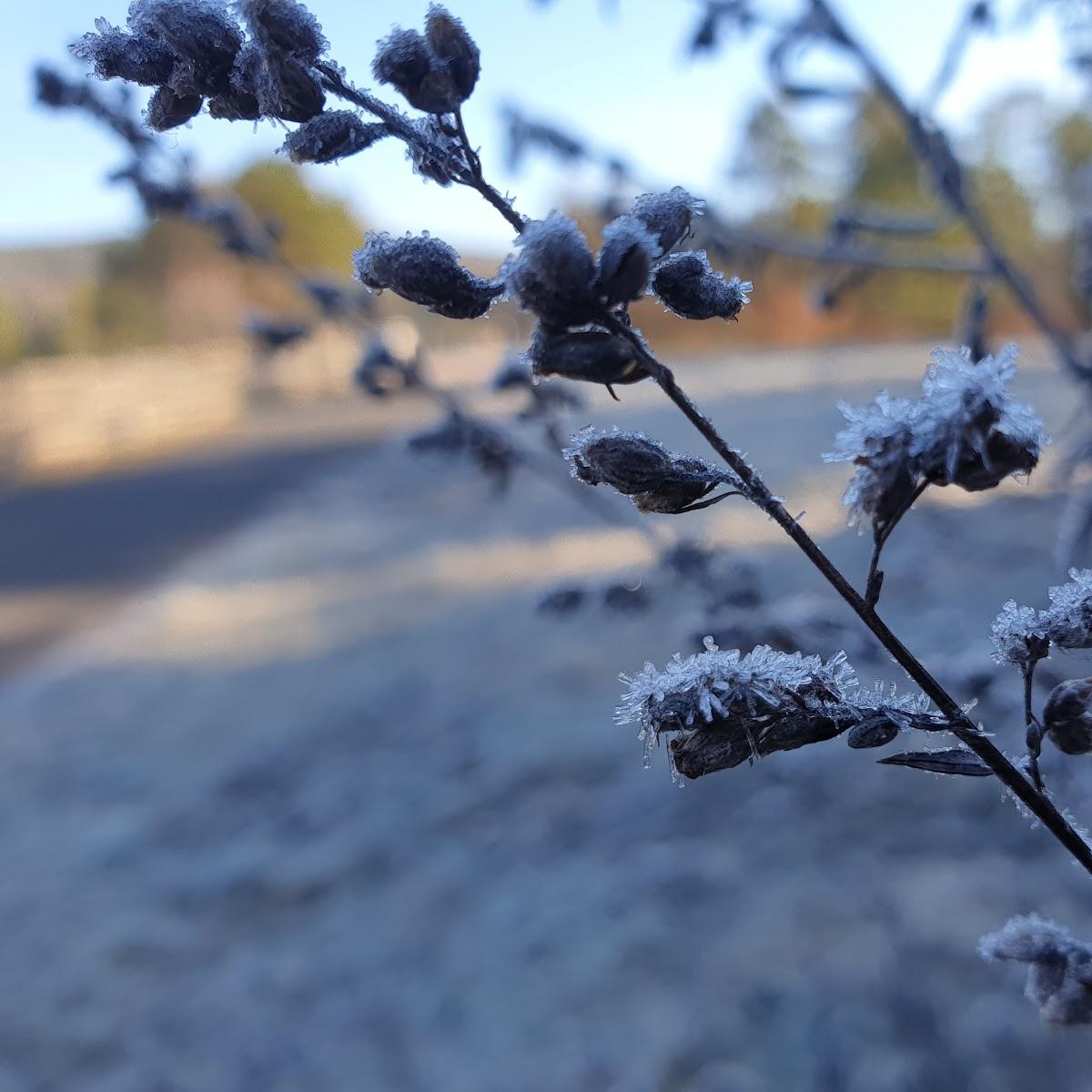 Restaurant "dean&david" in  Aschaffenburg