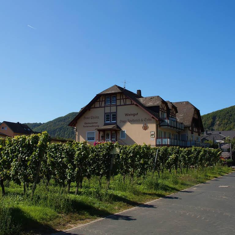 Restaurant "Ferienweingut Hugo Friederich & Sohn" in Briedern