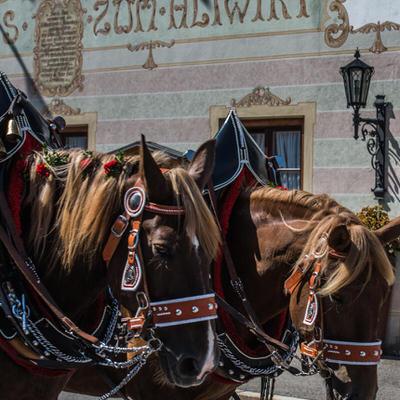 Restaurant "Hotel Wirtshaus  Der Altwirt " in Lenggries