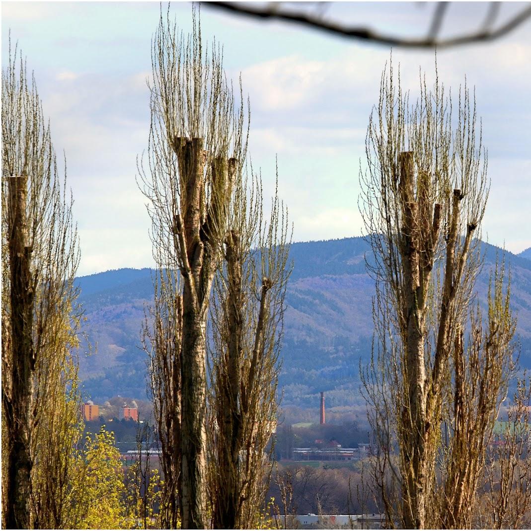 Restaurant "Restaurant Kegelbahn Inh. Jens Erxleben" in Zittau