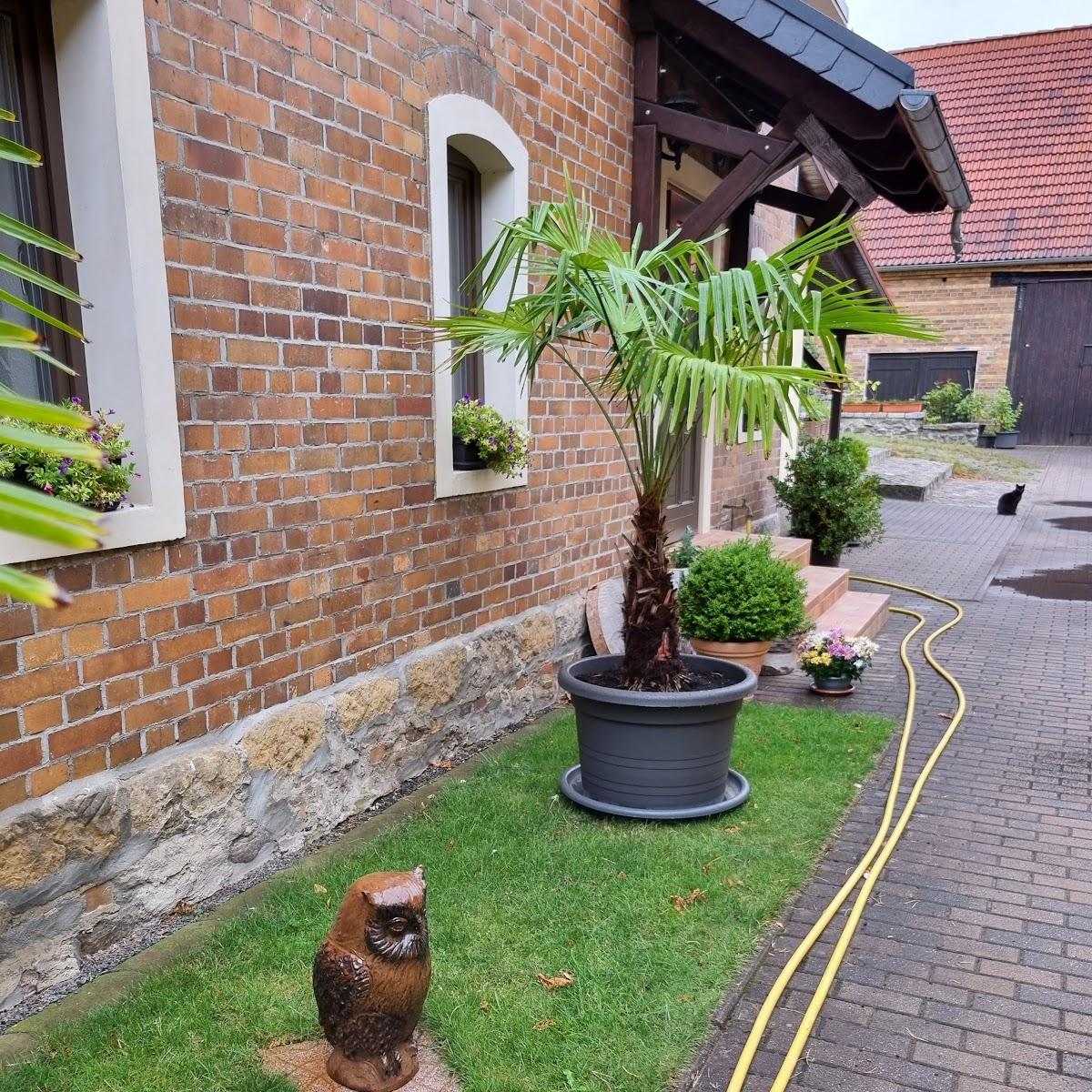 Restaurant "Golmer Weinberg" in Bad Schmiedeberg