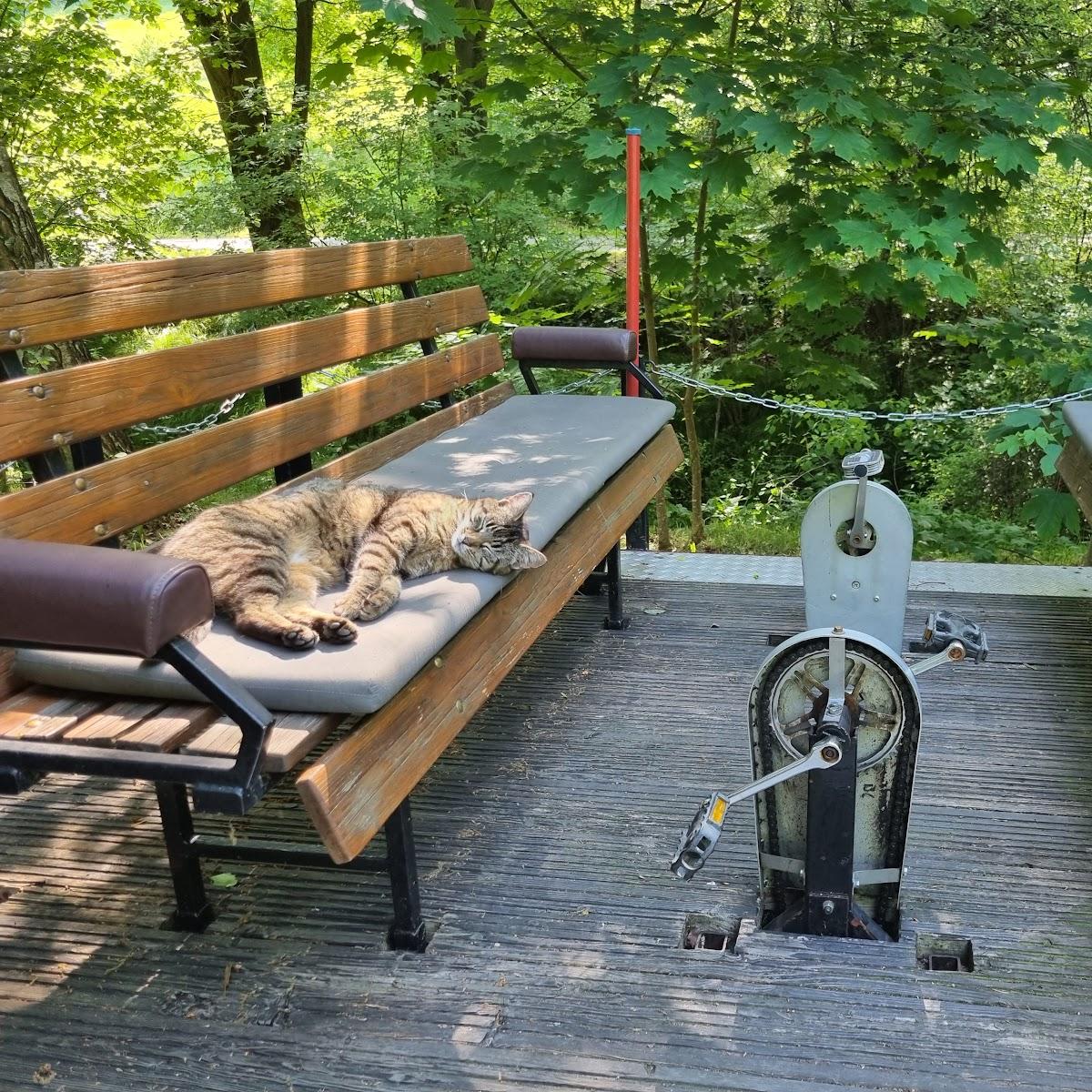 Restaurant "Imbiss am Chemnitztalradweg  Zum Dampfkessel  Bahnhof Auerswalde-Köthensdorf" in Taura