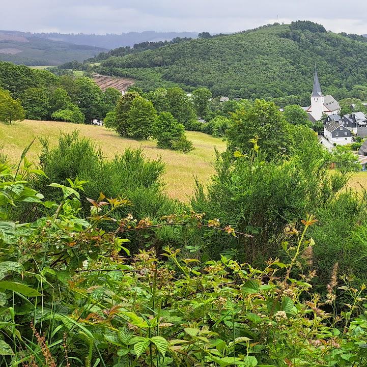 Restaurant "Gasthof Ley" in Netphen