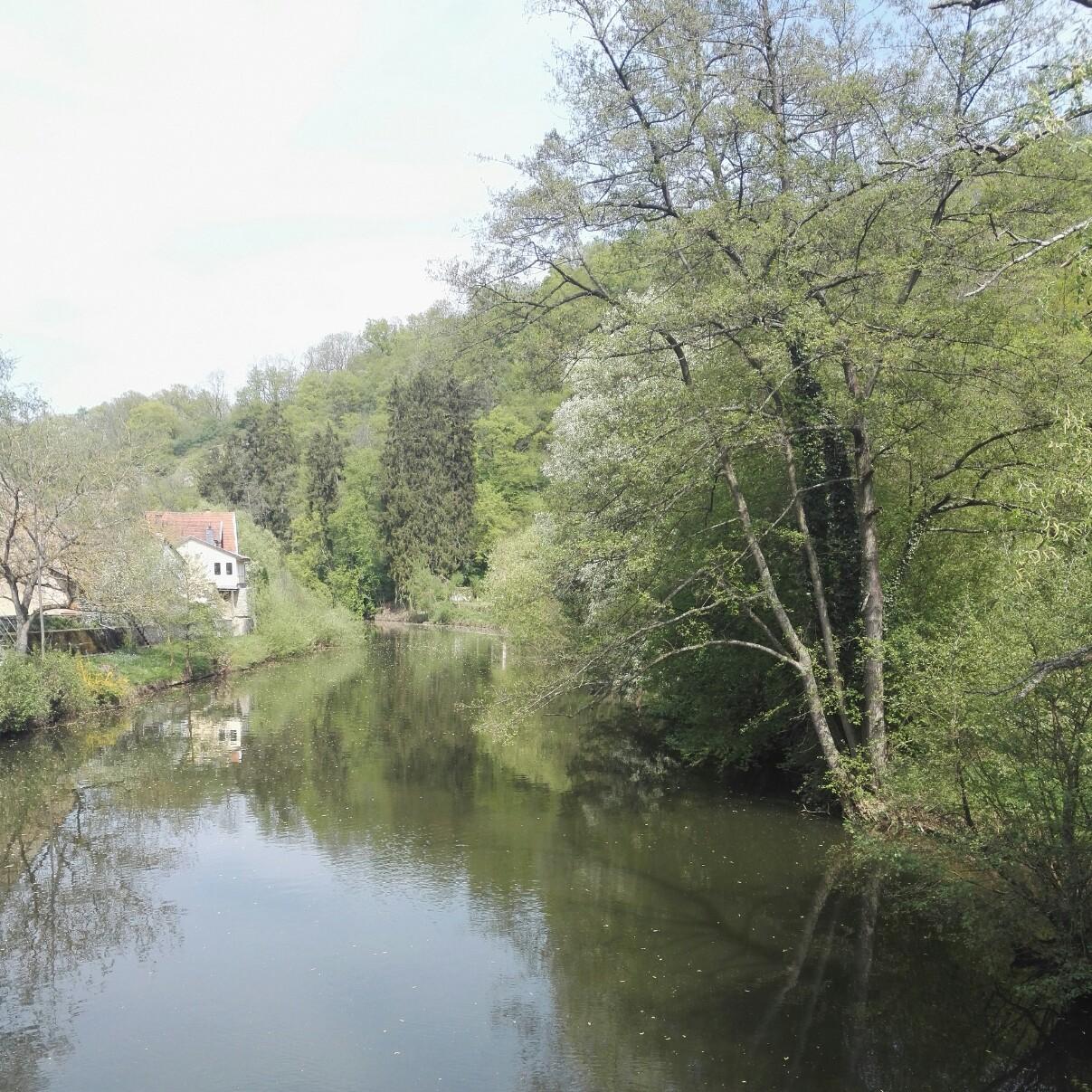 Restaurant "Alt" in  Meisenheim