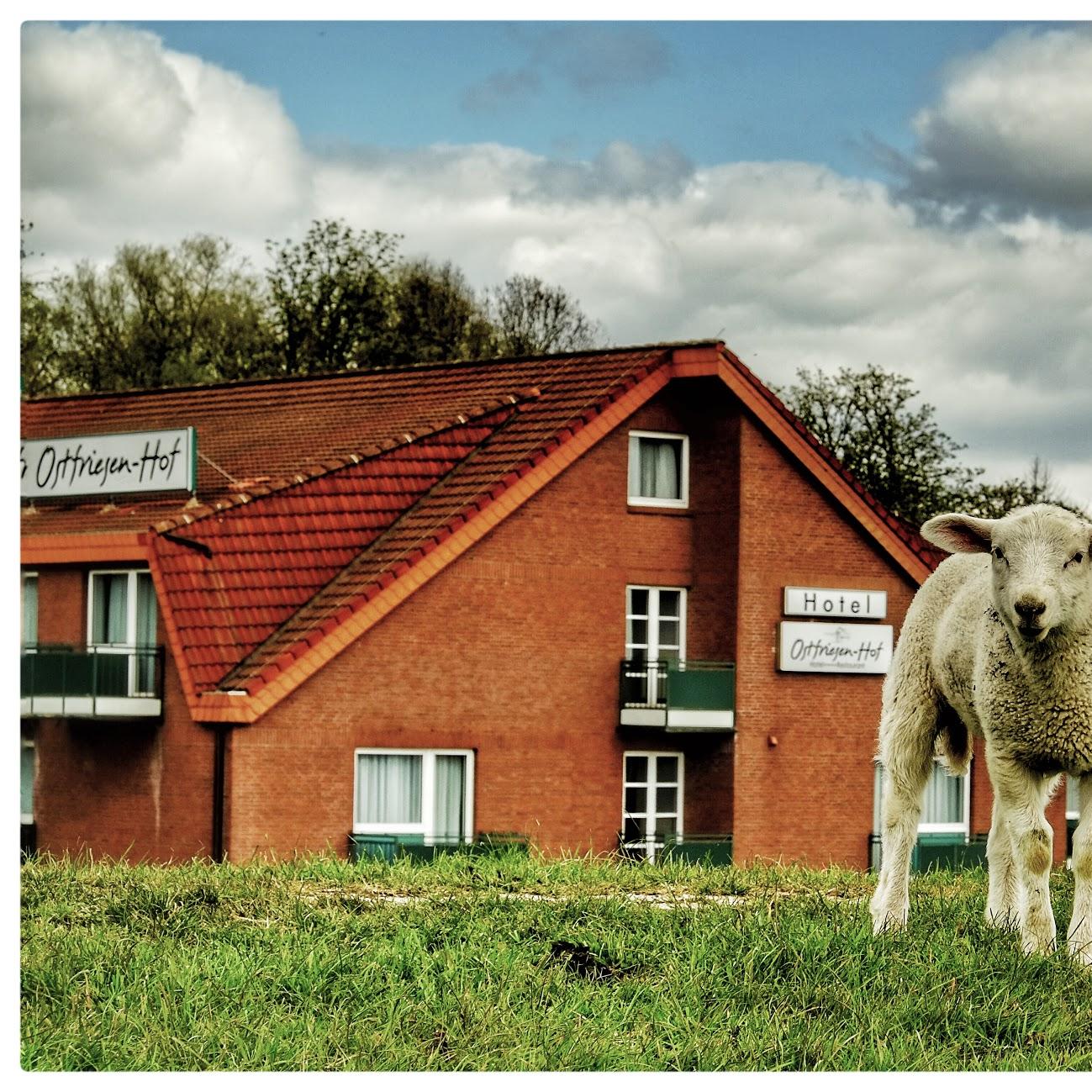 Restaurant "Hotel Ostfriesen-Hof" in  (Ostfriesland)