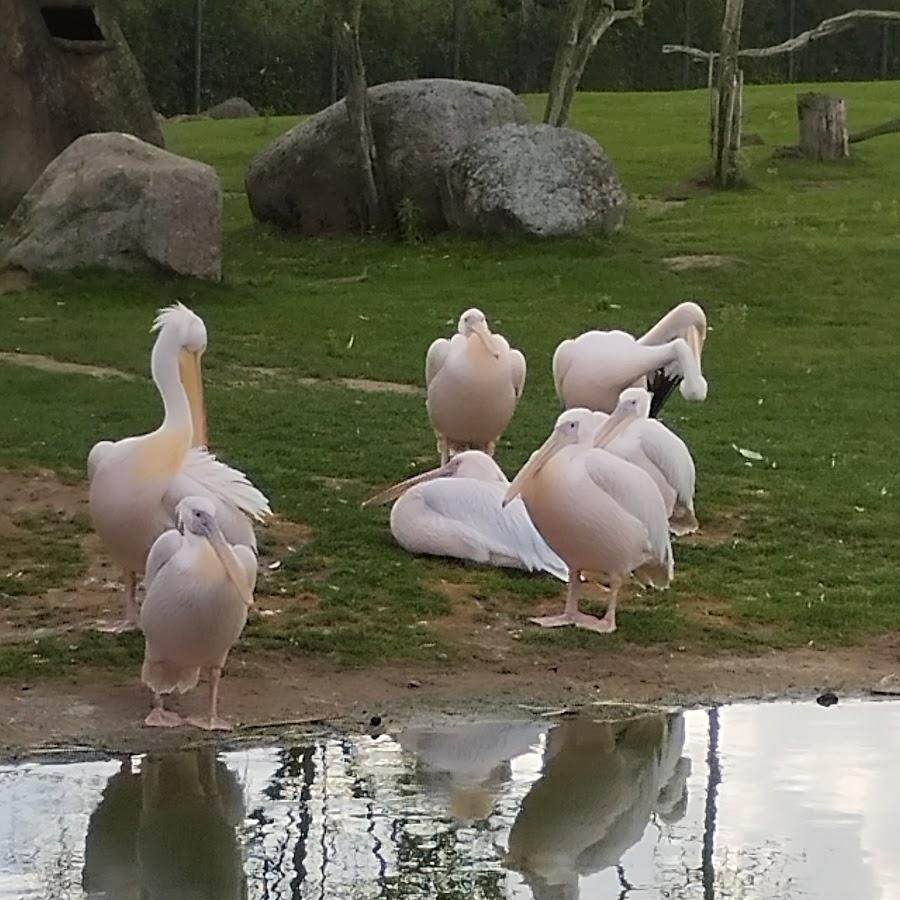 Restaurant "Fliegender Dodo" in Marlow