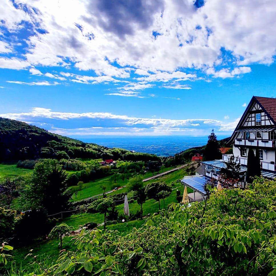 Restaurant "Berghof Grüner Baum Hotel-Restaurant" in Sasbachwalden