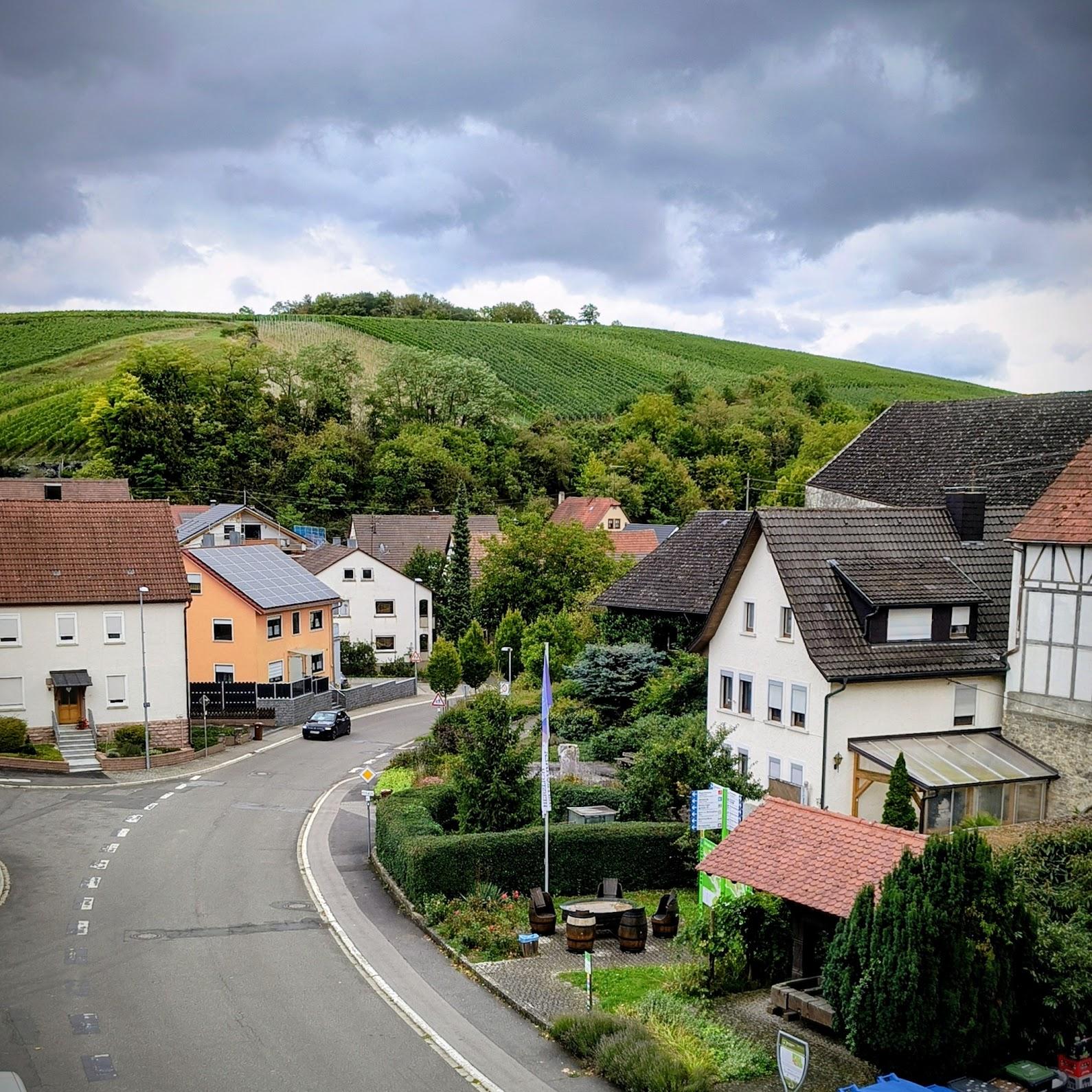 Restaurant "Hotel Restaurant Adler" in Lauda-Königshofen