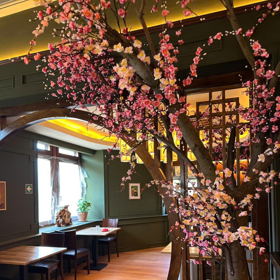 Restaurant "Nam Vang" in Schutterwald