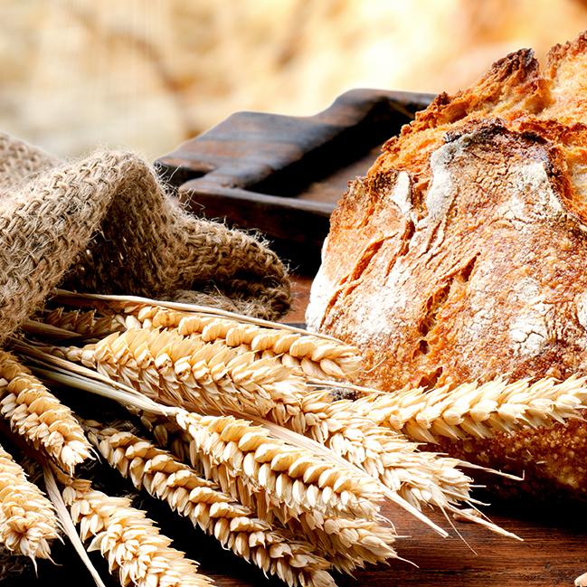 Restaurant "Bäcker Thonke , Friedrich-Ebert-Ring" in Rathenow