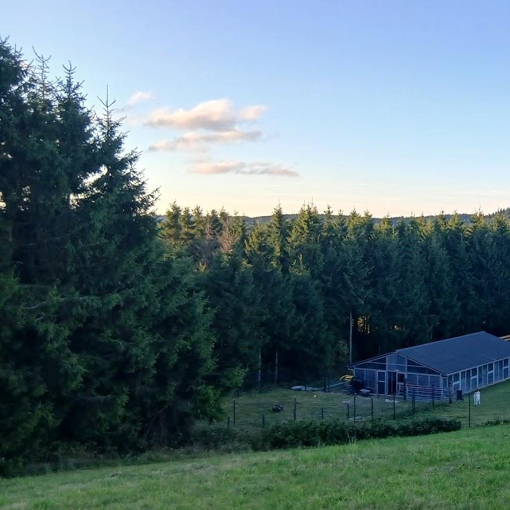 Restaurant "Landhotel Flora&Fauna" in Winterberg