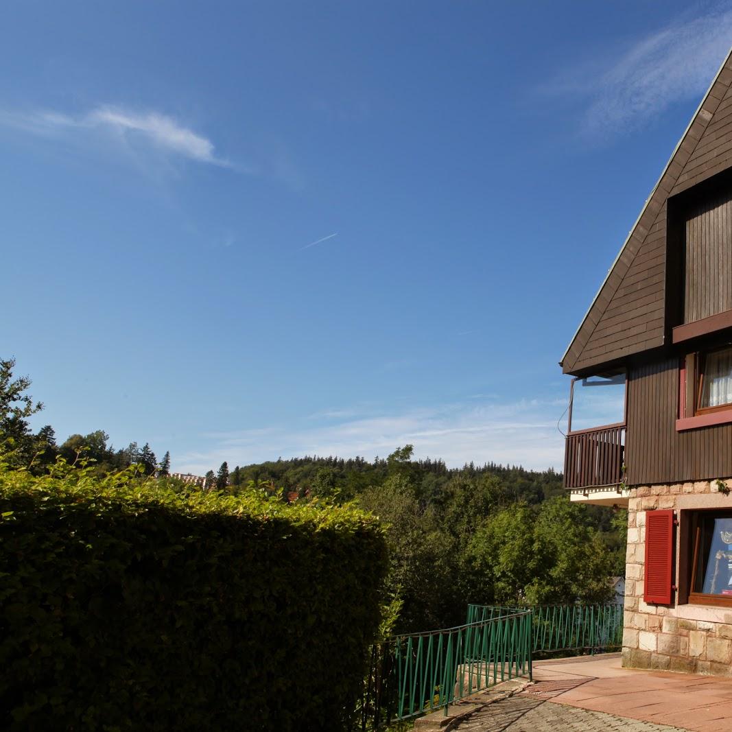 Restaurant "Hotel Merkurwald - Restaurant Wolpertinger" in  Baden-Baden