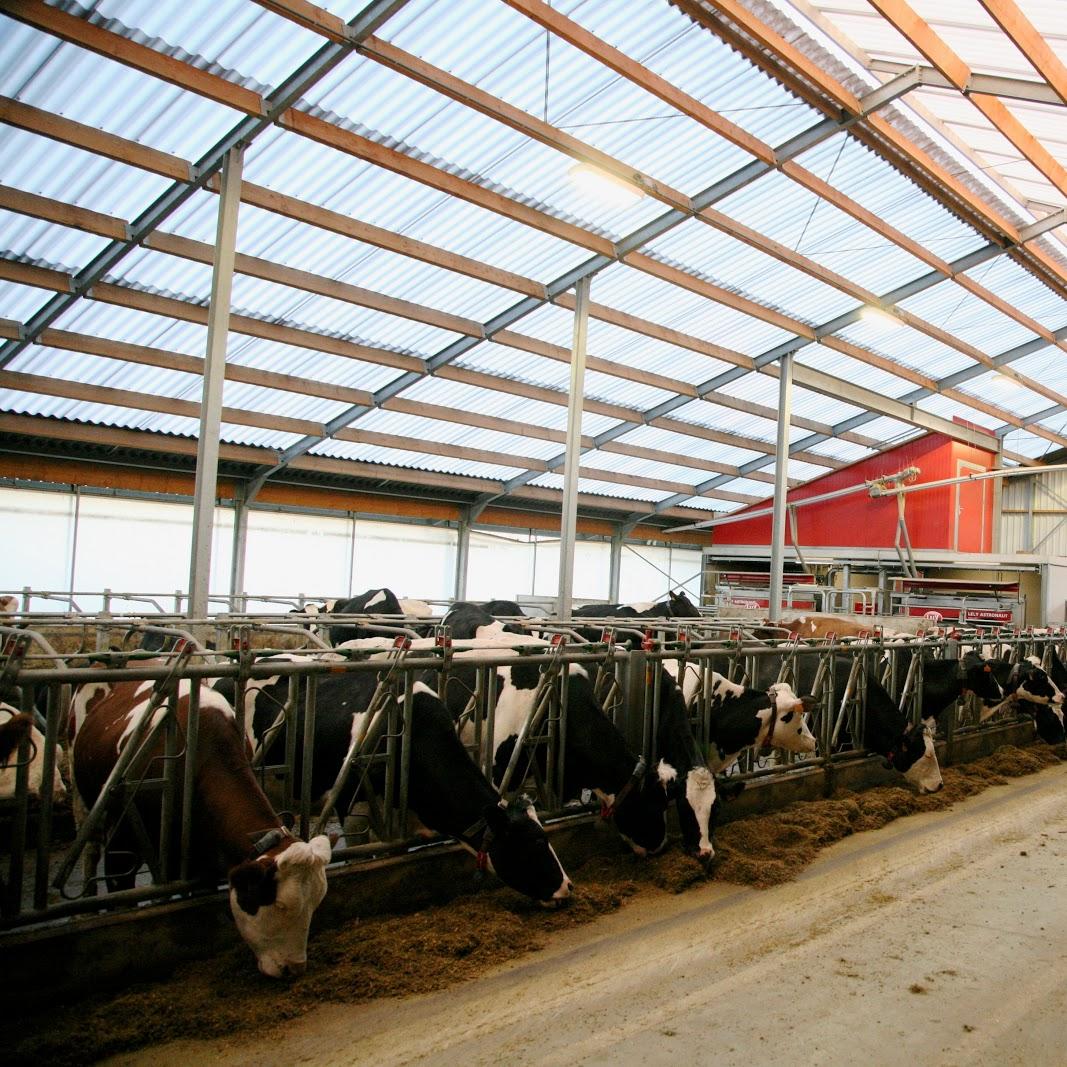 Restaurant "Koe-Boe-Party (Hoeve-ijs en Kinderboerderij)" in Alken