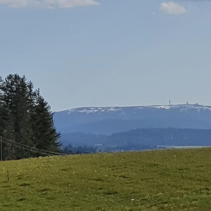 Restaurant "Rössle Furtwangen" in  Schwarzwald