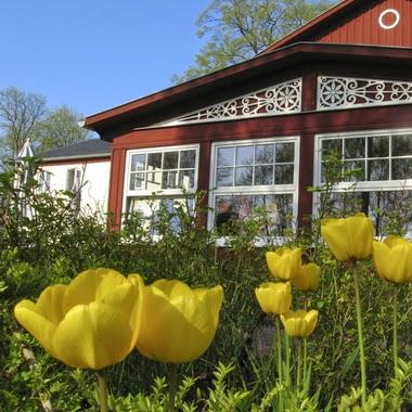 Restaurant "Pension Walfischhaus" in Born a. Darß