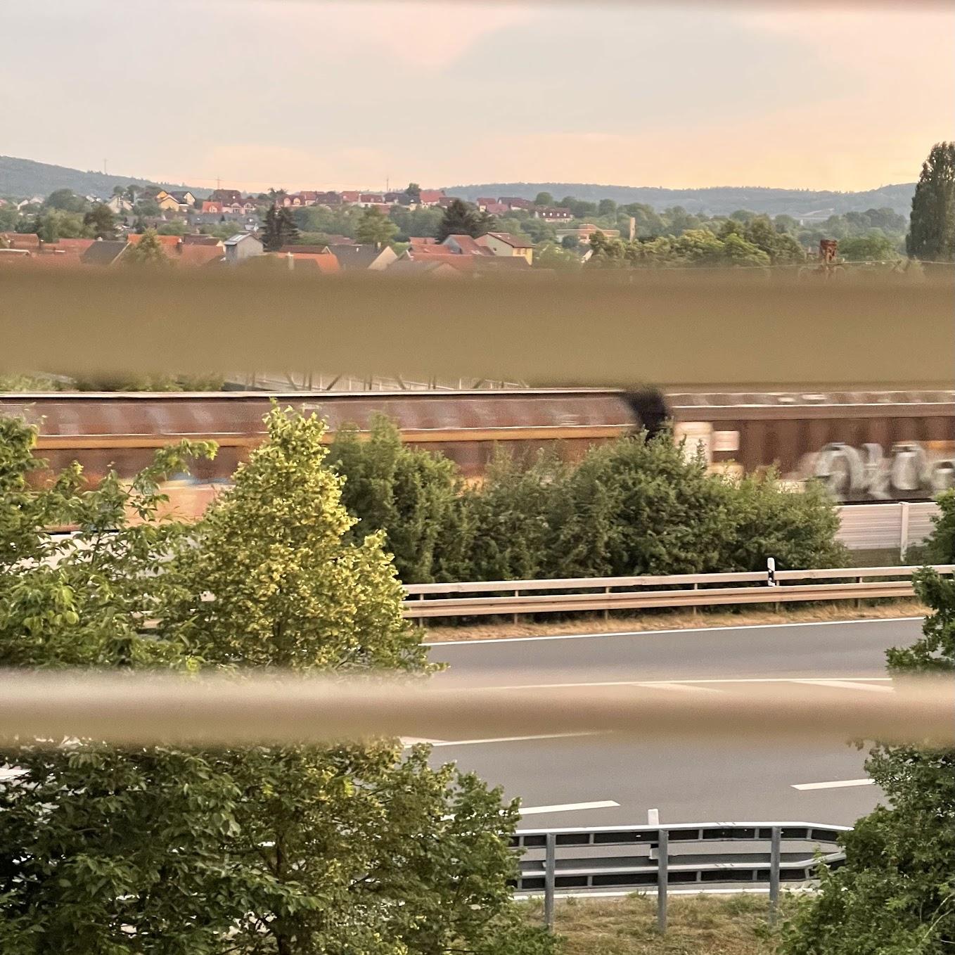 Restaurant "Vogelsang Hotel-Gasthof" in Zellingen