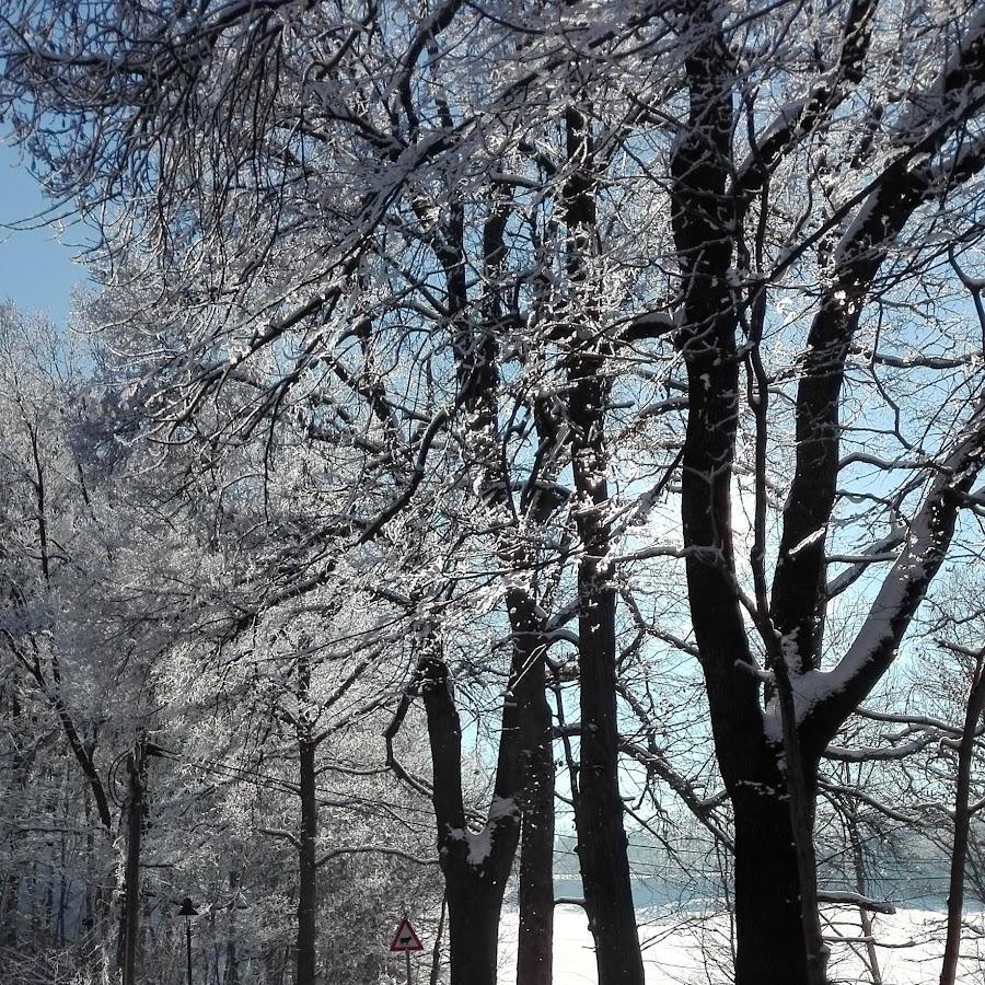 Restaurant "Sportlerheim" in Reinsdorf