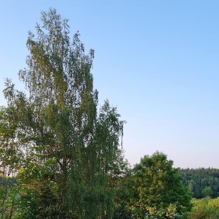 Restaurant "Der Steirer kocht am Reischenhof" in Wain