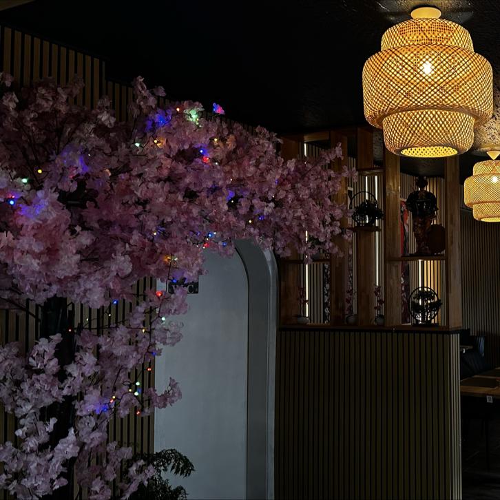 Restaurant "Sakura Fusion" in Sinzig