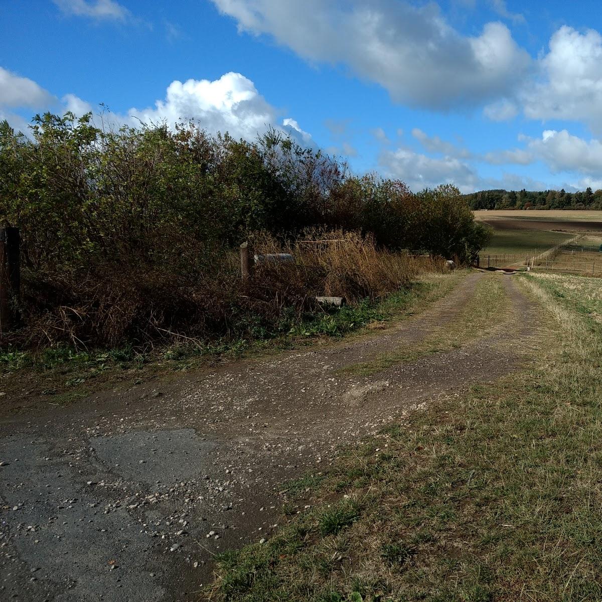 Restaurant "Gasthaus Reiterstübchen" in  Kempenich