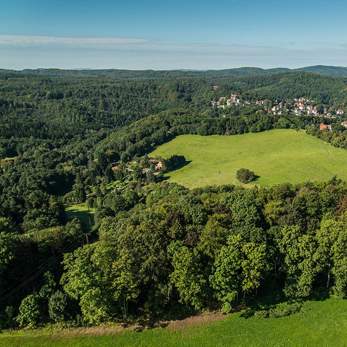 Restaurant "Fischzucht Reinhardsbrunn GmbH" in  Friedrichroda