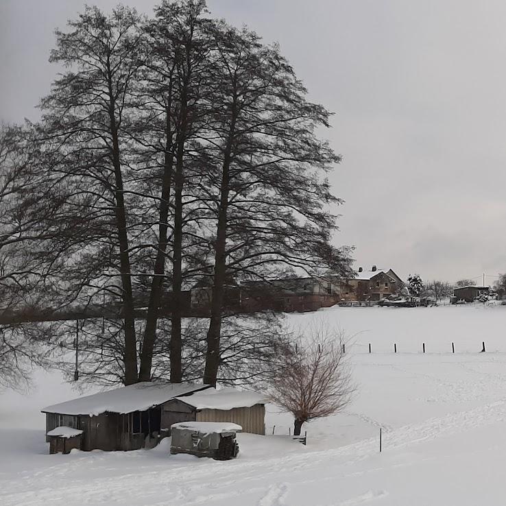 Restaurant "Gaststätte Grüner Baum" in Zeulenroda-Triebes