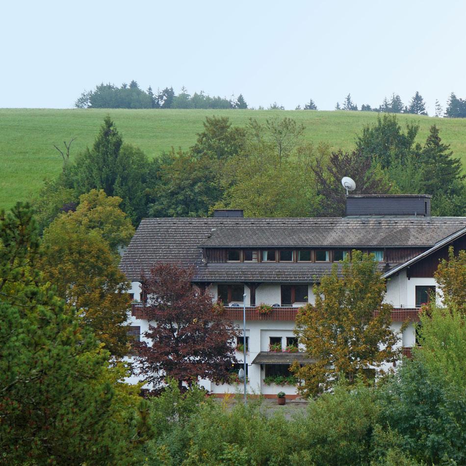 Restaurant "Alemannenhof Hotel Engel" in Rickenbach