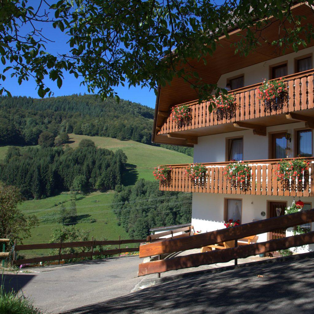 Restaurant "Haus Stiegeler" in Aitern