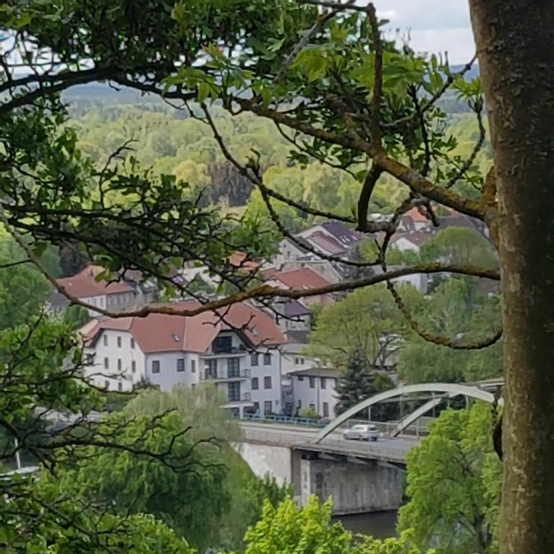 Restaurant "Gaststätte & Pension Grüne Aue Zimmervermietung" in Oderberg