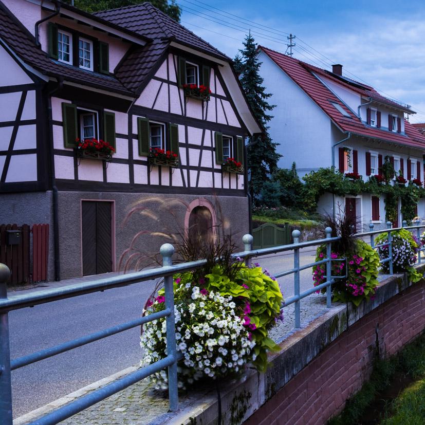 Restaurant "Gasthaus und Pension Zur goldenen Traube" in  Durbach