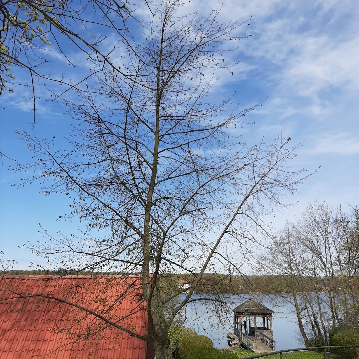 Restaurant "Grill -Eck Rost" in  Seenlandschaft