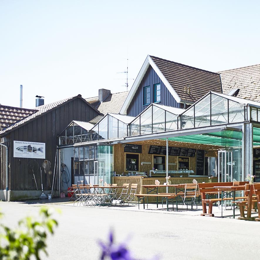 Restaurant "Bei Riebels" in Reichenau