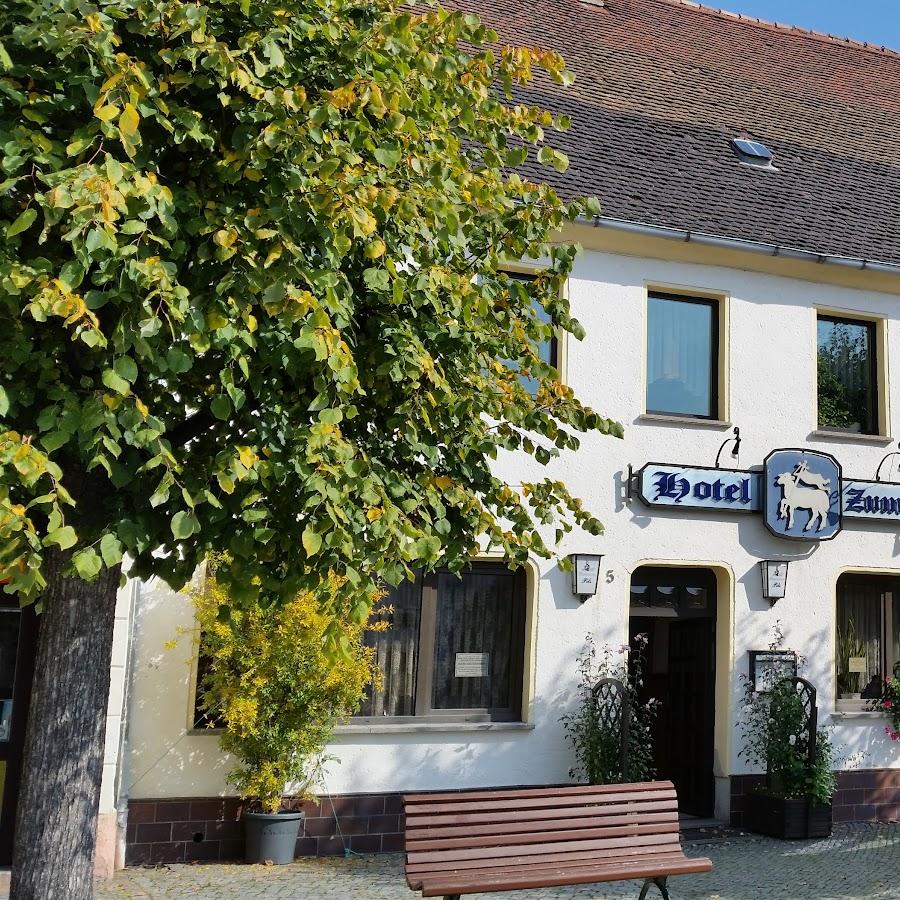 Restaurant "Zum Goldenen Lamm" in Wittichenau