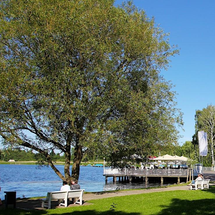 Restaurant "Seehotel" in Krakow am See