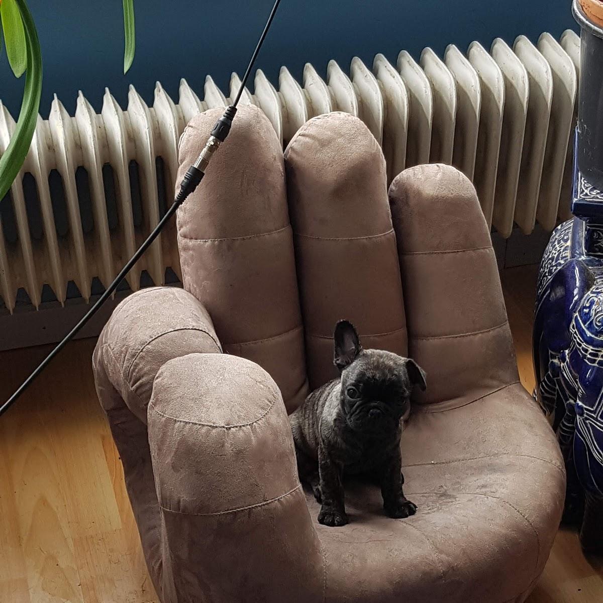 Restaurant "Ferien im Alten Pastorat" in  Rodenäs