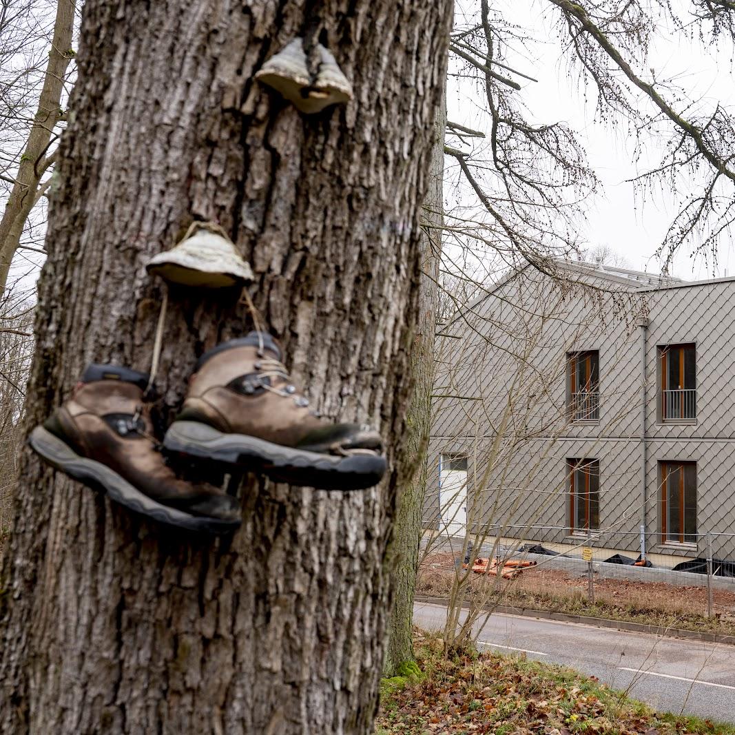 Restaurant "Waldhotel & Restaurant Hohe Sonne" in Eisenach