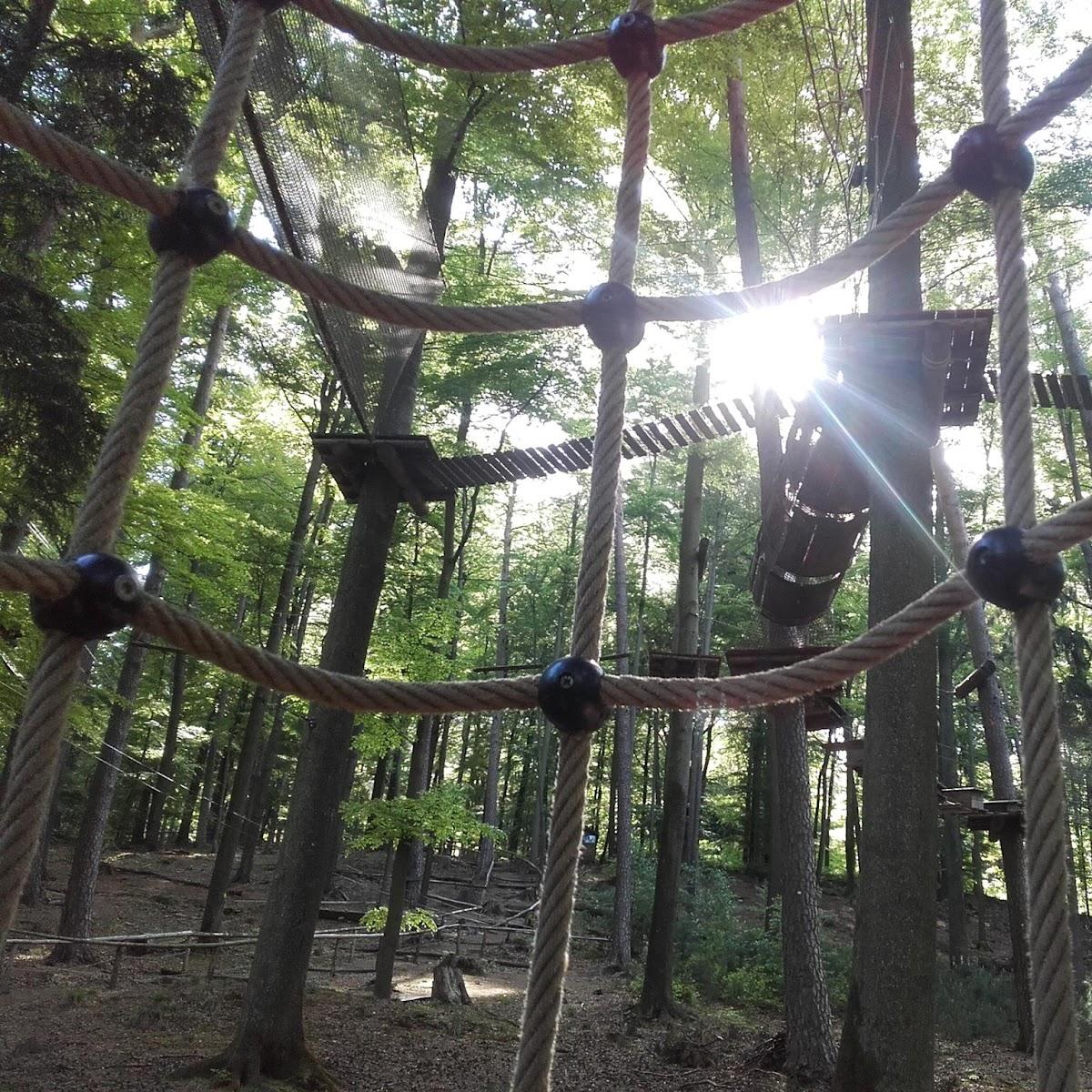Restaurant "Kletterwald Spessart" in Heigenbrücken