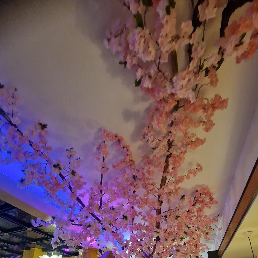 Restaurant "Mekong Delta" in Donauwörth