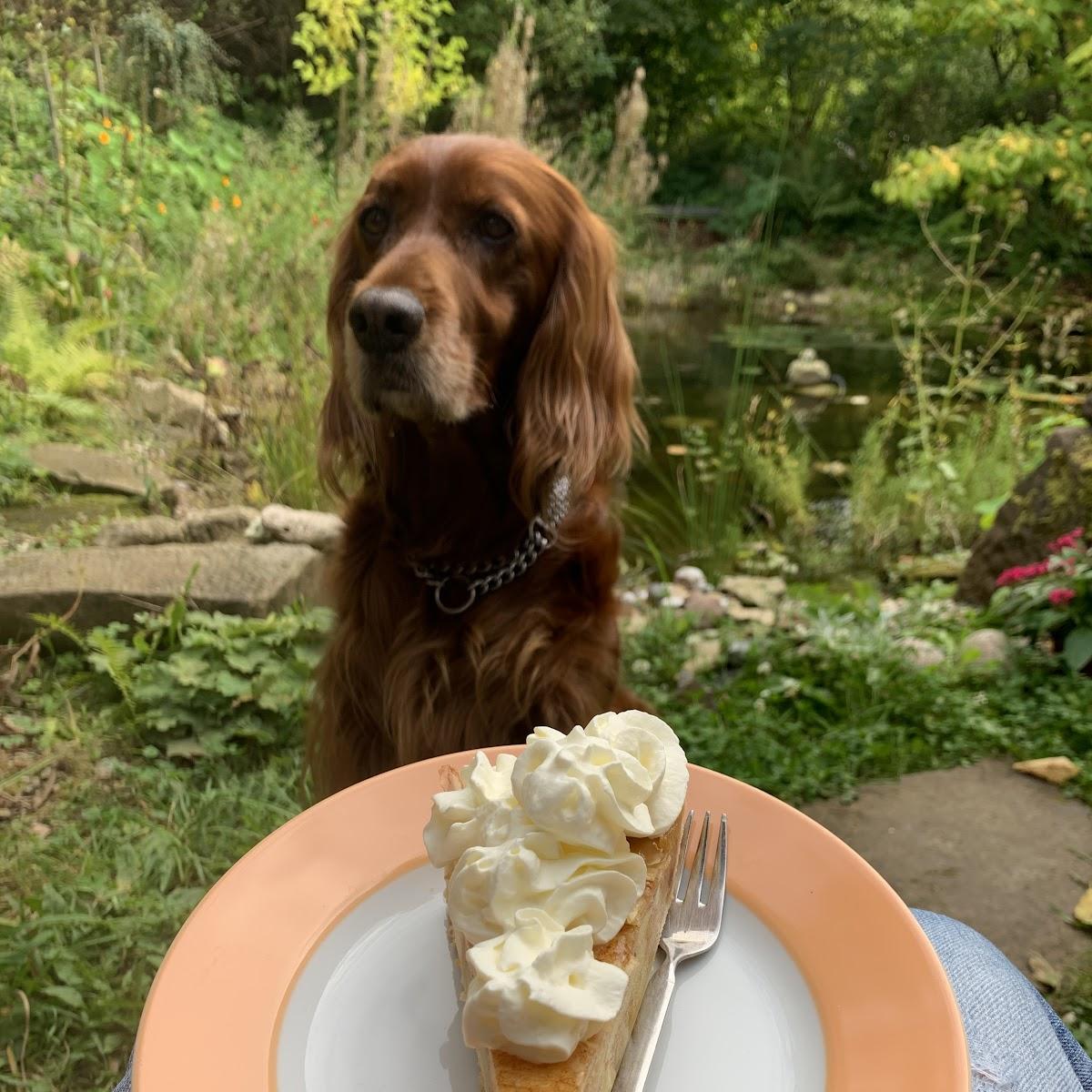 Restaurant "Cafe Hofgarten" in Witzenhausen