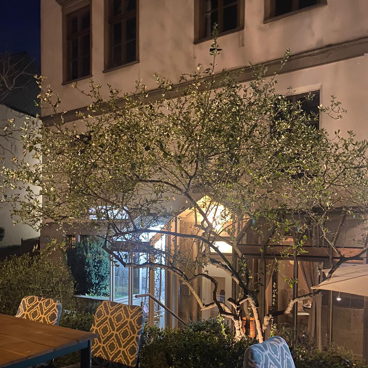 Restaurant "Edna Restaurant" in Kassel