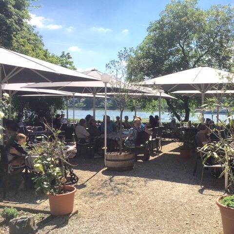 Restaurant "Weinhaus am Rhein" in Königswinter
