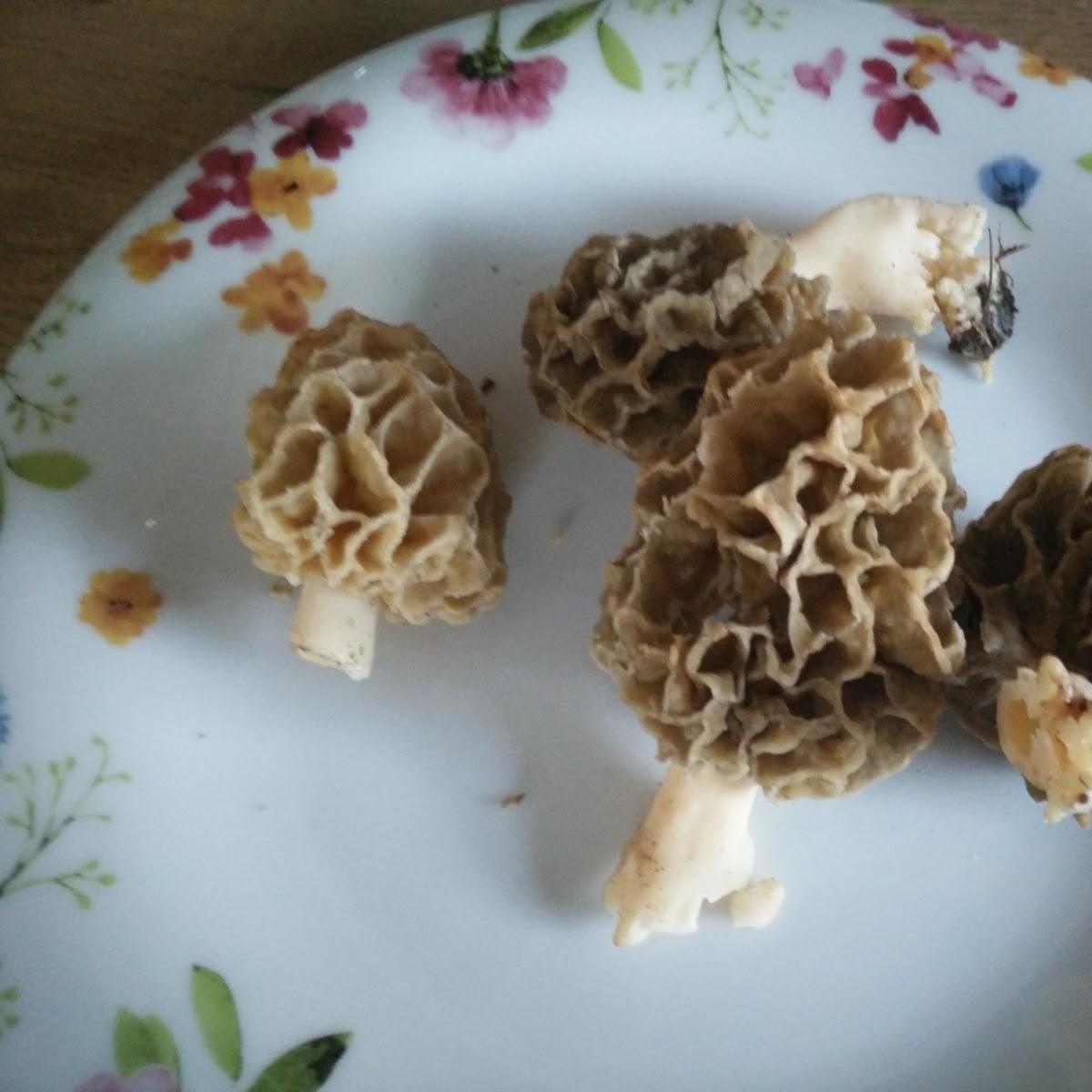 Restaurant "Pizzeria Fiocco di Neve" in  Söchtenau