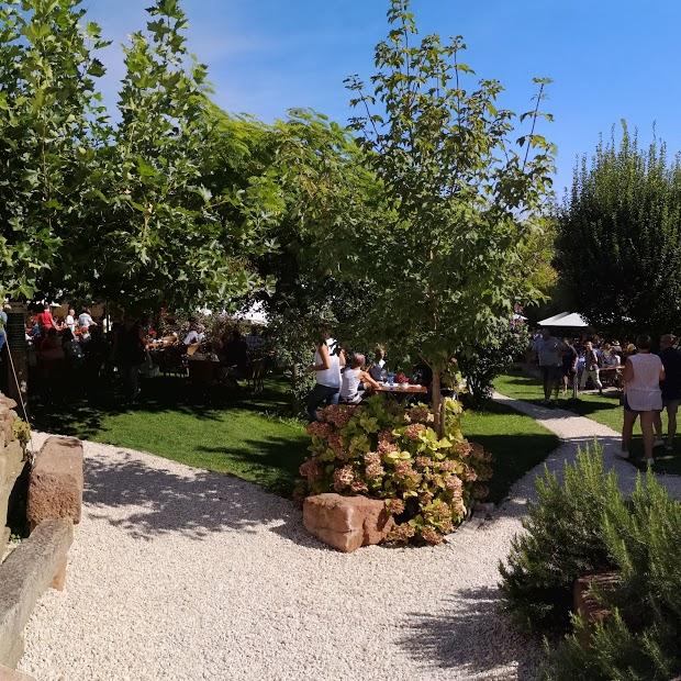 Restaurant "Weingut Johanneshof im Sonnenschein" in Siebeldingen