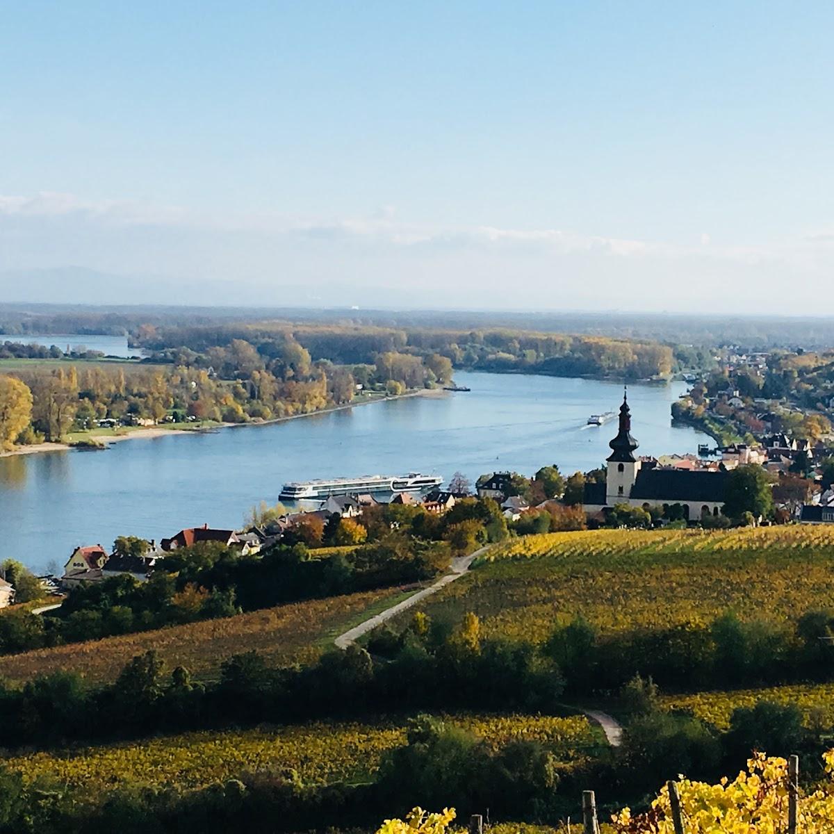 Restaurant "Rhein-Hotel  | Platen