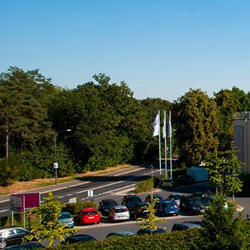 Restaurant "Bergwirtschaft-Wilder Mann Hotel und Restaurant GmbH" in Dresden