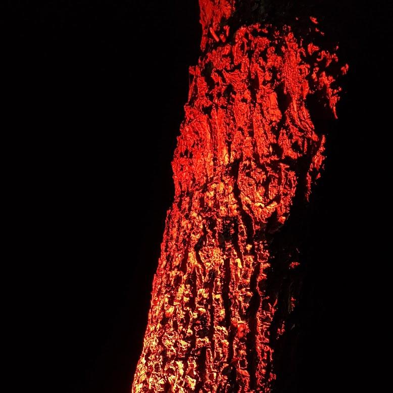 Restaurant "Pizzeria Mama" in  Kempen