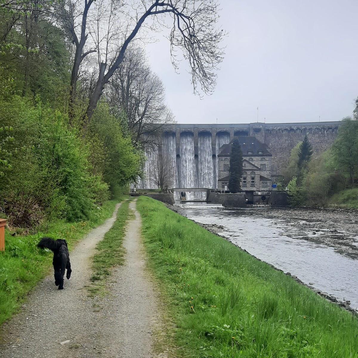 Restaurant "Gasthof  Zum Diemeltal " in Marsberg