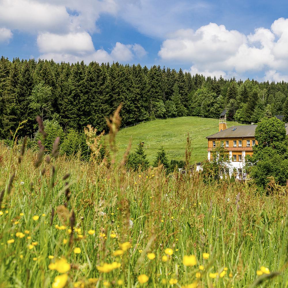 Restaurant "Landhaus Bergidyll" in Bärenstein