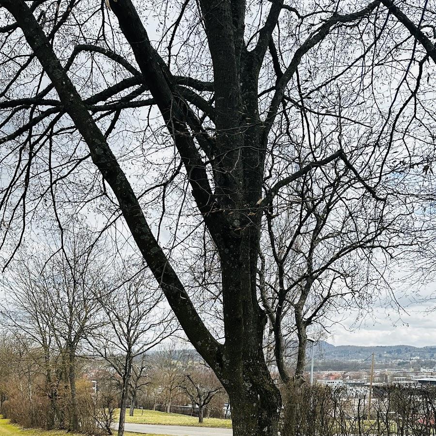 Restaurant "Schützenhaus SV" in Riederich