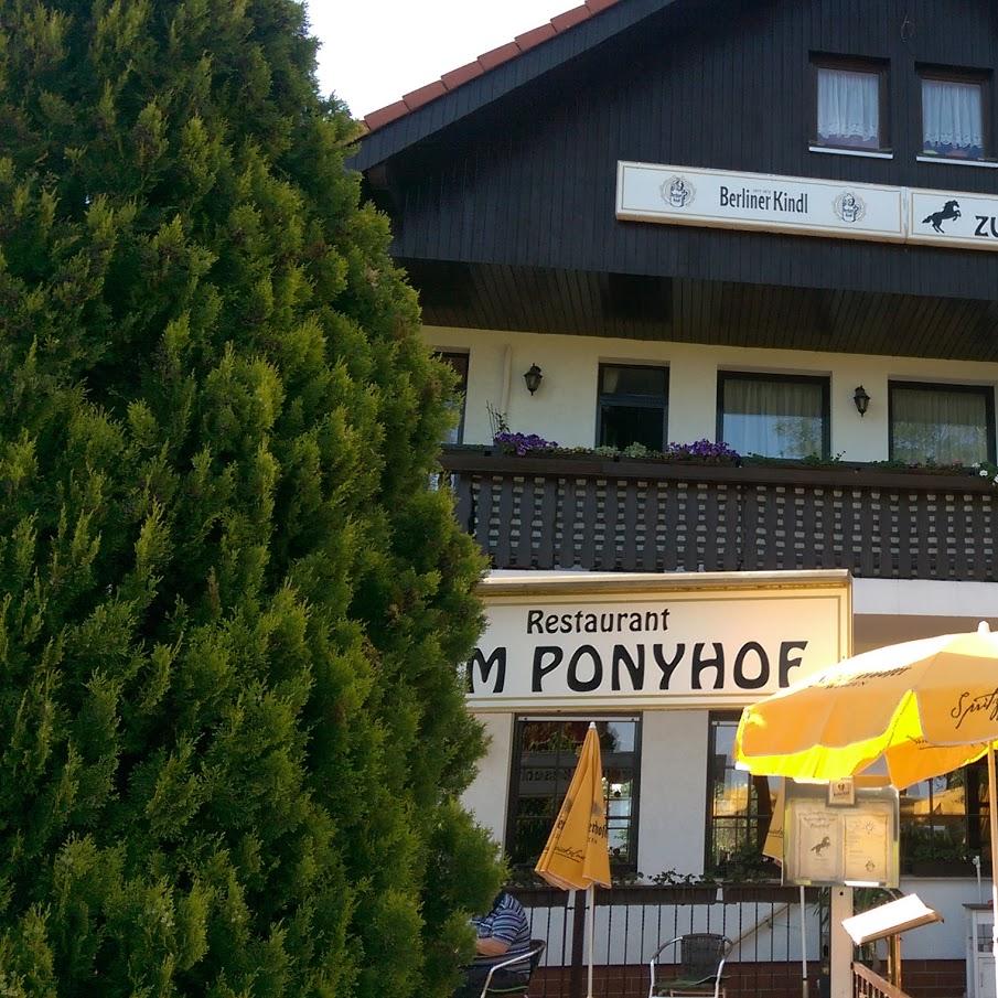 Restaurant "Yammas Restaurant - Griechische und Mediterrane Spezialitäten" in  Berlin
